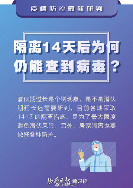 最新疫情防控文章深度评测，特性、体验、竞品对比及用户群体分析（28日版）