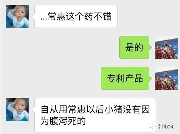 冯永辉最新分析，未来猪价走势展望——聚焦三大要点及最新分析预测报告