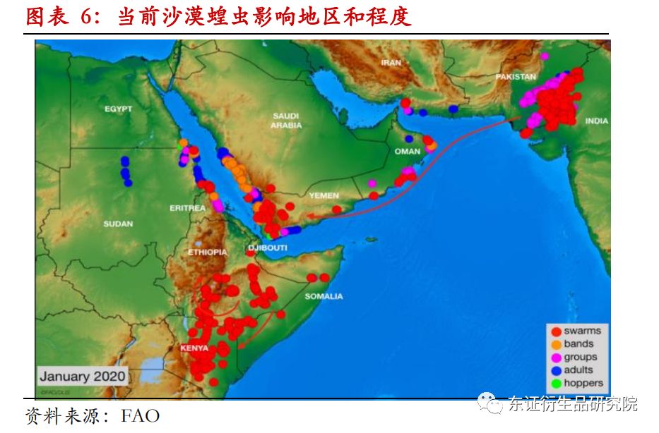 2024年11月6日 第31页