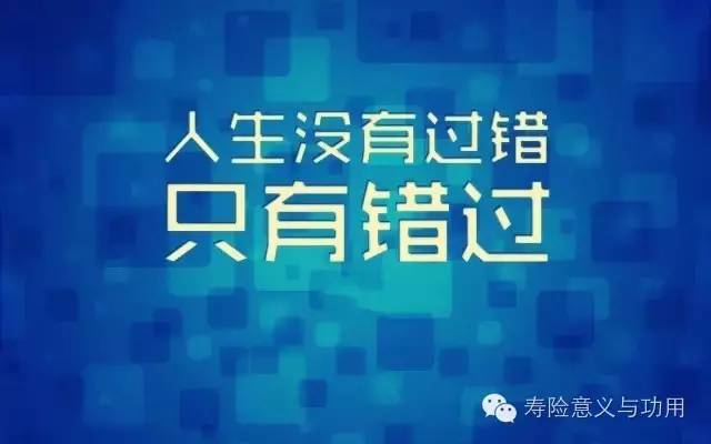 永春9路日常趣事与暖心陪伴记录（最新更新，11月7日）