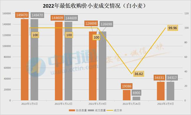 科技赋能下的河南小麦市场趋势，最新收购价与智能预测风向标（2024年11月）