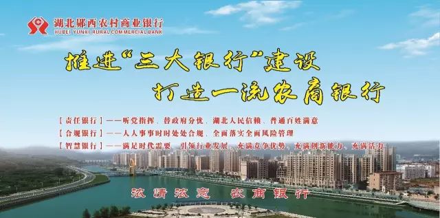 湖北郧西上津最新事件深度探析与反思聚焦观点报告（2024年11月16日）