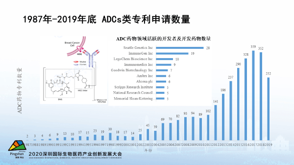 新澳门历史记录,高效性设计规划_品牌版DOE13.85