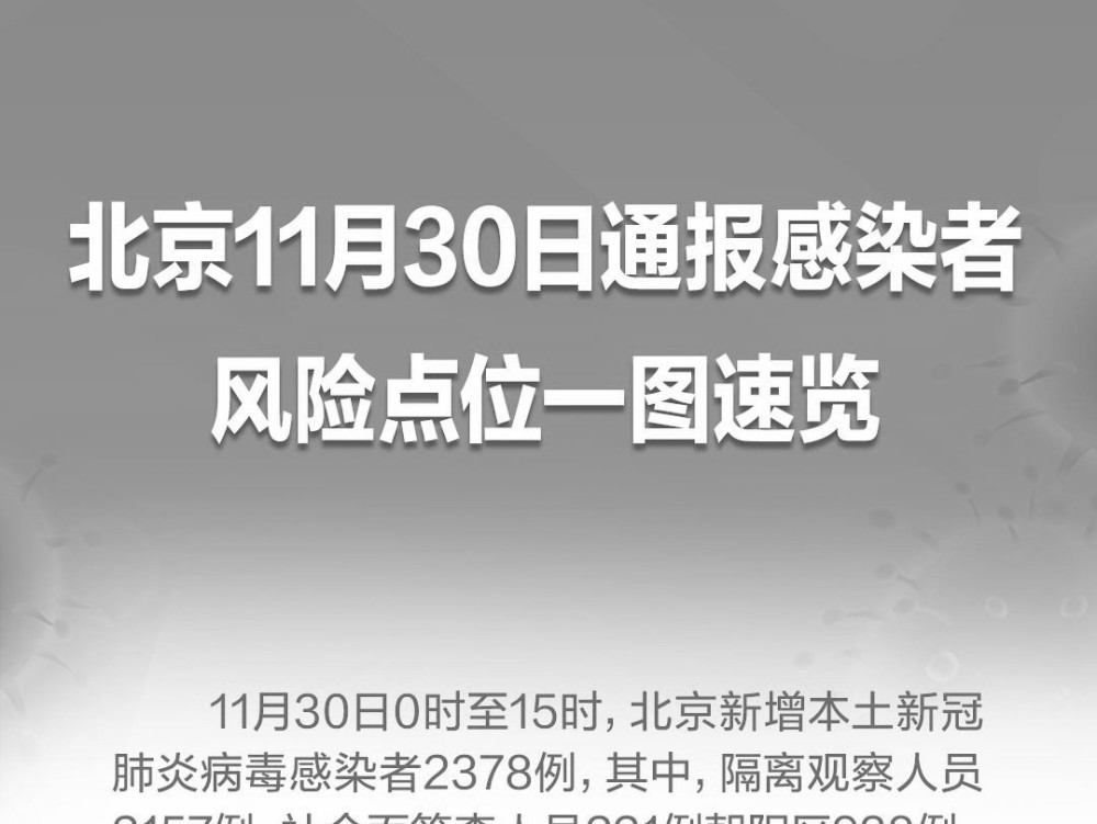 往年11月17日嵩县新闻回顾与焦点洞察，最新快报与洞察昨日事件